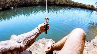 YBS Lifestyle Ep 13  WORLDS SMALLEST FISHING ROD CHALLENGE  Amazing Dolphin Encounter [upl. by Latrena]