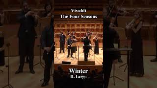 Vivaldi  The Four Seasons Winter  classicalmusic orchestra [upl. by Yt]