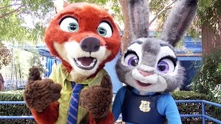 Nick Wilde amp Judy Hopps from Disneys Zootopia Meet amp Greet Disney California Adventure Disneyland [upl. by Lanahtan621]