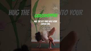 grasshopper yoga This class on my member portal today — httpsleighabutleryogacomgrasshopper [upl. by Hillman700]