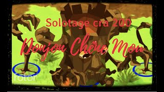 Dofus retro 63 Premier accouplement de DD 🗝️ DONJON Chêne Mou🗝️ [upl. by Betta189]