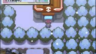 Lets play Pokémon Platine Nuzlocke Challenge 18  Jaime pas le patinage [upl. by Leticia]