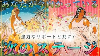 【絶対的なサポートアリ💪】あなたが今向かっている次のステージ🚪🌈🦋〜それぞれの道へ〜占い 元気が出るタロット [upl. by Alyekahs]