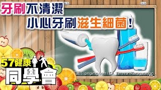 牙刷不清潔 小心牙刷滋生細菌！【57健康同學會】第034集 2010年 [upl. by Aikemaj]