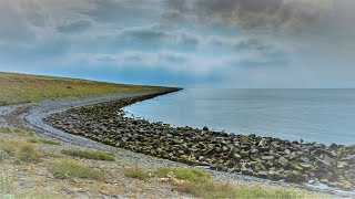 Natuurfilm  Documentaire Afsluitdijk [upl. by Ruthann526]