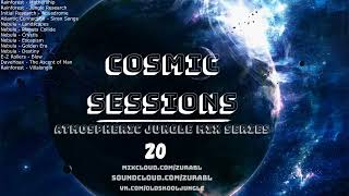 20Cosmic Sessions 20 Other Realms [upl. by Jerroll]