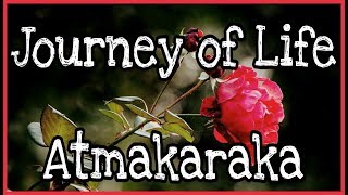 Atmakaraka  Explore your Potential and Challenges through Astrology [upl. by Nohsreg]