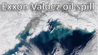 The Devastating Exxon Valdez Oil Spill  Mar 24 1989  Today In History shorts [upl. by Ihtac]