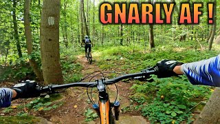 Birdsboro Preserve PA Mountain Biking Trails [upl. by Marjory]