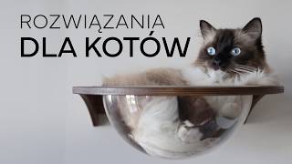 ROZWIĄZANIA DLA KOTÓW  Drapak kuweta osiatkowanie balkonu 😻 [upl. by Tahmosh]