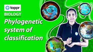 Phylogenetic system of classification  Classification and nomenclature  Class 11 Biology [upl. by Idnac]