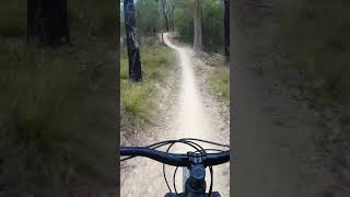 Flow trail at mogo mtb trails [upl. by Edith]