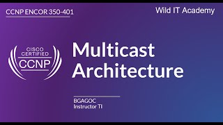 Multicast Architecture  CCNP ENCOR 350401  Wild IT Academy [upl. by Jacqui727]