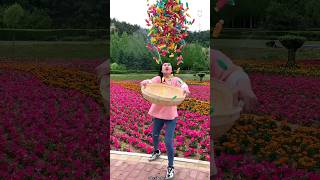 Lots of Sweet Candy 🍬🍬 Amazing Delicious Fruit Candy shorts satisfying youtubeshorts [upl. by Anileme]