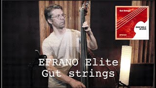 Efrano Gut Strings for Double Bass Presentation AND smalltalk about gut strings [upl. by Edik596]