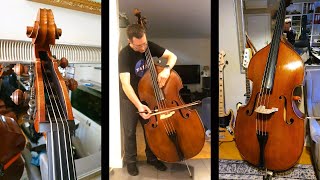 Upright bass for sale SOUND Test Arco amp pizzicato  kontrabas na sprzedaż  Mateusz Borowski [upl. by Maison777]