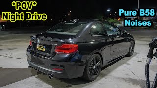 Night Drive in a BMW M240i [upl. by Nerfe400]