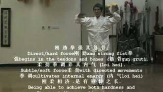 Master Chen Yong Fa teaching DVD series Choy Lee Fut  Wu Chi Kuen 無 极 拳片段 [upl. by Brita]