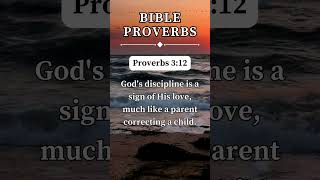 Proverbs 312  Gods discipline is a sign of His love ✝️ short prayer proverbs [upl. by Mitran]