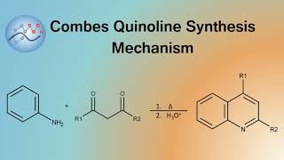 Combes Quinoline Synthesis Mechanism  Organic Chemistry [upl. by Wyck262]