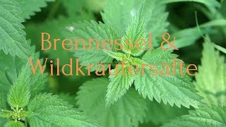 Brennessel amp Wildkräutersaft [upl. by Nodnal164]