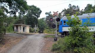 Přejezd na zastávce Lysá nad Labem Dvorce Sysel a dvojče 163 [upl. by Zysk411]