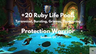 Protection Warrior POV  20 Ruby Life Pool  Tyrannical Bursting Grievos Thundering [upl. by Fanchie131]