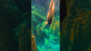 Diving in a halocline at Barracuda Lake🧜‍♀️ freediver freediving oceansounds coron palawan [upl. by Lemak]