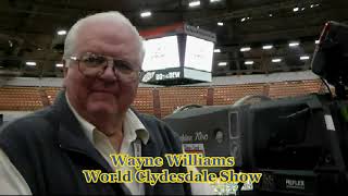 World Clydesdale Horse Show Highlights [upl. by Auburn]