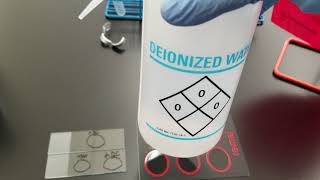 Microbiology Slide Coagulase Test [upl. by Rainwater]