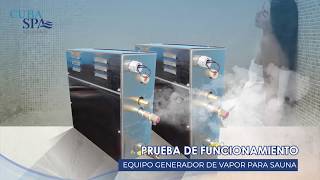 GENERADOR DE VAPOR ELECTRICO  CUBAampSPA SOLUCIONES [upl. by Anilet]