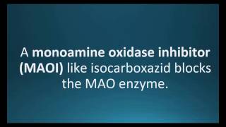 monoamine oxidase inhibitor Pharmcabulary for Memorizing Pharmacology Chapter 5 Neuro Flashcard [upl. by Rammus]