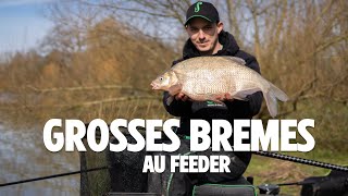 Grosses brèmes au feeder avec Maxime Gruyer [upl. by Thomey]