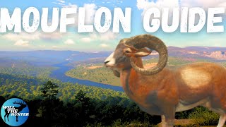 Cuatro Colinas Iberian Mouflon Zone Guide TheHunter Call Of The Wild 2023 [upl. by Tarrant873]