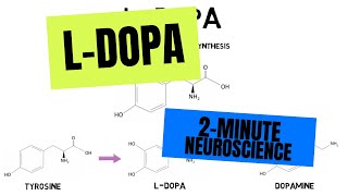 2Minute Neuroscience LDOPA [upl. by Phyl]