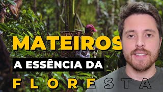 Como os MATEIROS tem sido ESSENCIAIS nas pesquisas florestais [upl. by Enilarak]