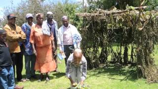 Shaking the Lulav and Etrog with Kasuku Jews [upl. by Laius308]