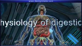 Physiology of digestion  ingestion  digestion  absorption  Egestion [upl. by Aenaj14]