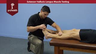 Extensor Hallucis Longus Muscle Test Palp Dr VIzniak Muscle Manual [upl. by Anileve]