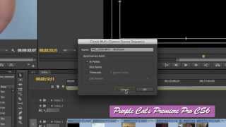 퍼플캣 프리미어 프로 CS6 강좌36 멀티캠 편집 [upl. by Jalbert]