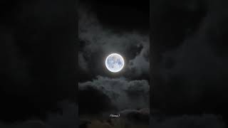 Moon lovers 🥰 viralvideo music reels song [upl. by Nesral300]