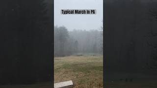 Typical March Weather shorts winter spring march snow sun farmlife [upl. by Lanae]