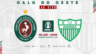 AO VIVO E COM IMAGENS CONCÃ“RDIA x AVENIDA  CAMPEONATO BRASILEIRO SÃ‰RIE D [upl. by Smaj894]