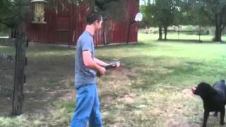 Shooting Sawed Off 12GA Shotgun And It Breaks [upl. by Ondrej]