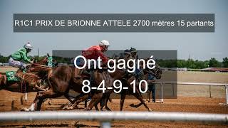 PRONOSTIC QUINTÉ DU MARDI 16 JANVIER 2024 PRIX DE BRIONNE R1C1 PARIS VINCENNES [upl. by Brendis720]