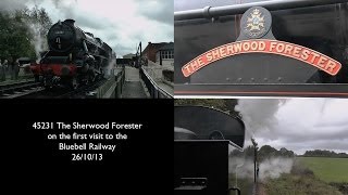 45231 The Sherwood Forester visits Bluebell Railway 26th October 2013 [upl. by Elleynod]