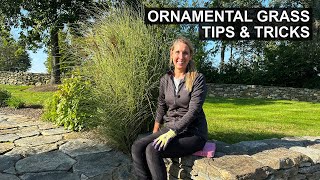 Ornamental Grass Care  Maintenance and Dividing Tips [upl. by Kemppe]