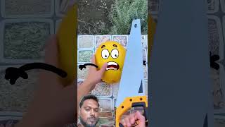 funny goodland watermelon coconut shortvideo [upl. by Annas604]