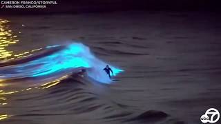 Bioluminescent waves Surfers ride glowing waters off San Clemente San Diego coasts  ABC7 [upl. by Gualterio]