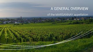 A general overview of the Marsannay appellation [upl. by Bonn711]